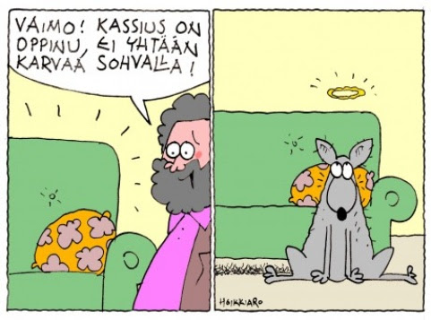 Sohvakoira tarkempi
