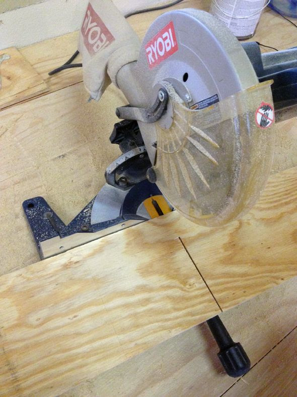 photo IMG_1866.jpg