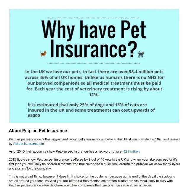 Pet Insurance Companies Uk   Anna Blog