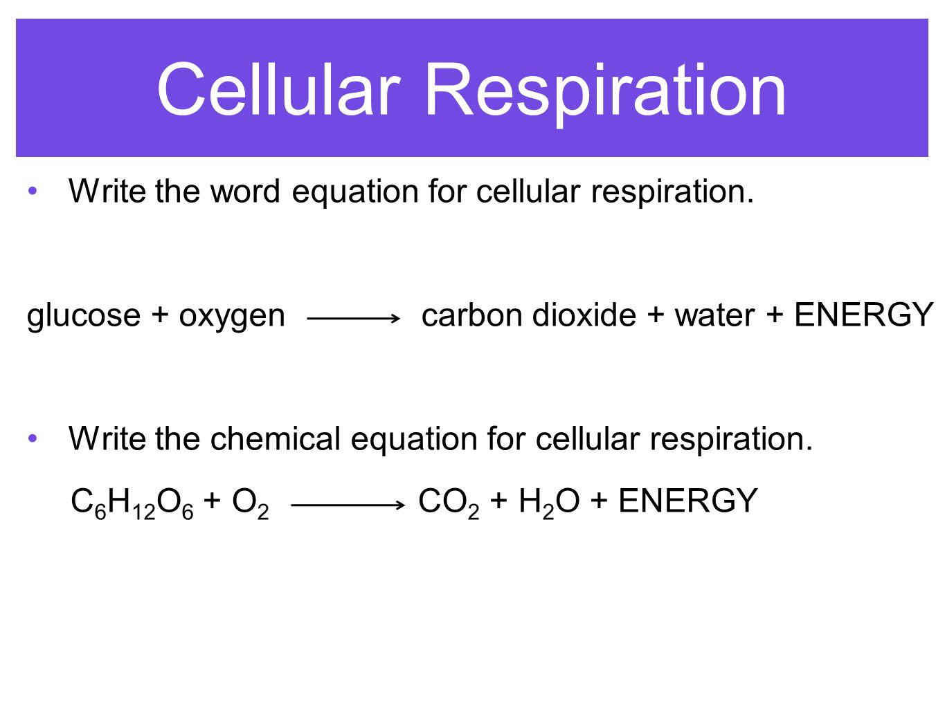 What Are The Reactants In The Equation For Cellular