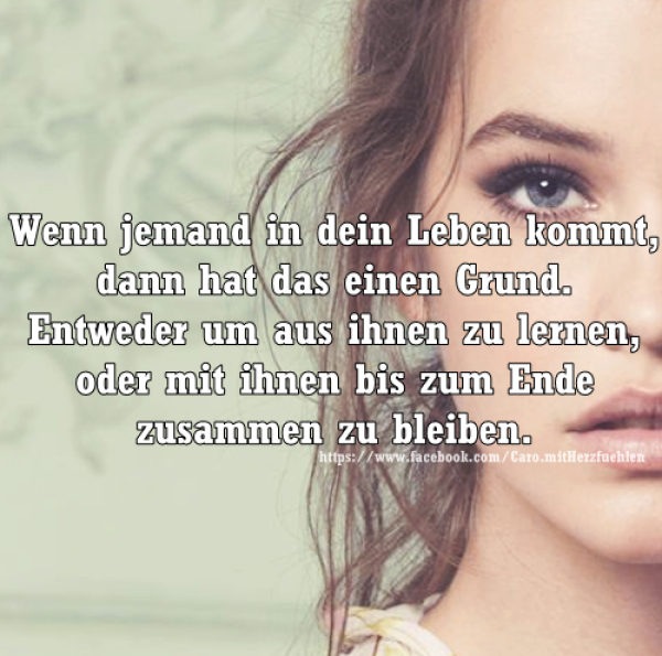 Schöne Kurze Sprüche Geschwister leticiafleabella web