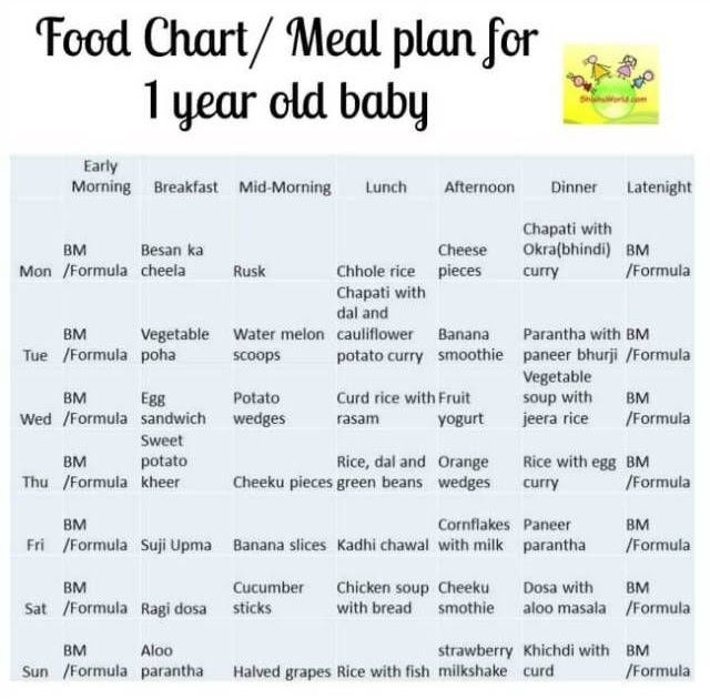 Daily Food Chart For 1 Year Old Baby - Baby Viewer