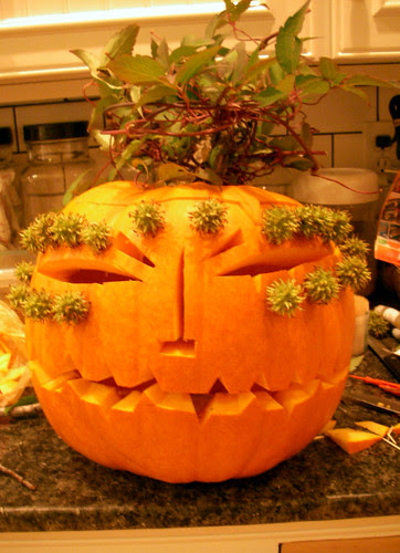 nature's pumpkin