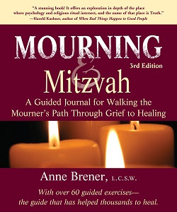 Progressive Lessons In Hebrew With Exercises And Vocabulary Ebook