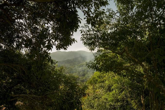 Estrada do Sacarrão, 867 / 11 - Vargem Grande, Rio de Janeiro - RJ, 22785-085, Brasil