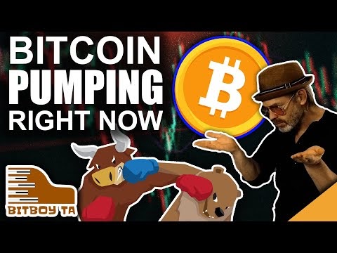 Bitcoin Price Pumping Right Now (Top Indicators To Watch)