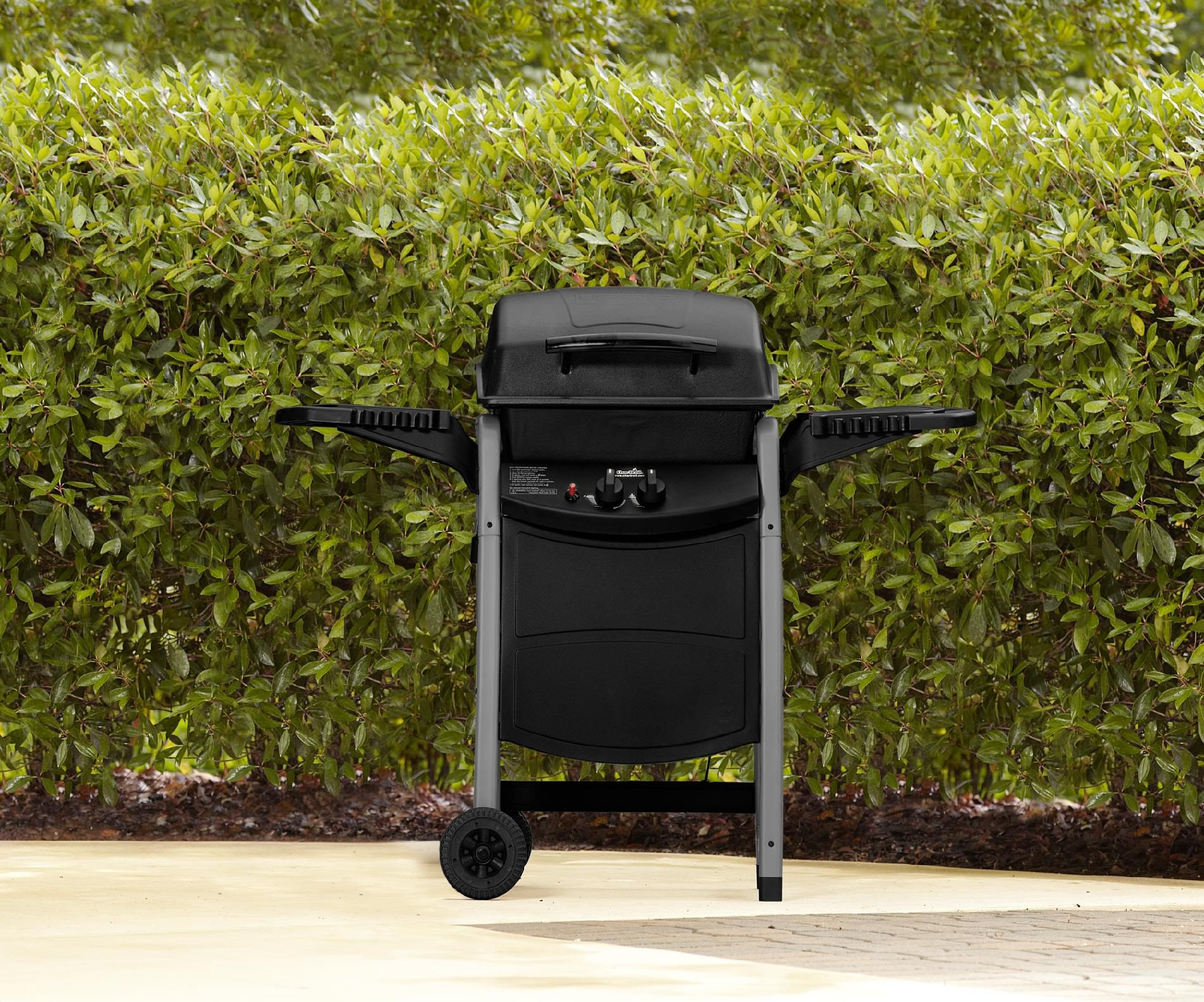 Comment BBQ Pro 2 Burner Gas Grill Black Discount Cooking is favourite hobby?