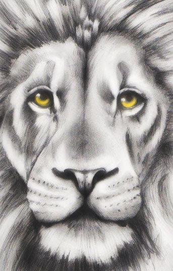 Realistic Lion Face Drawing