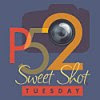 Sweet shot tuesday blog badge