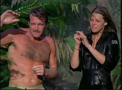 The Bionic Woman