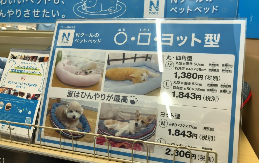 猫 を ダメ に する クッション ニトリ