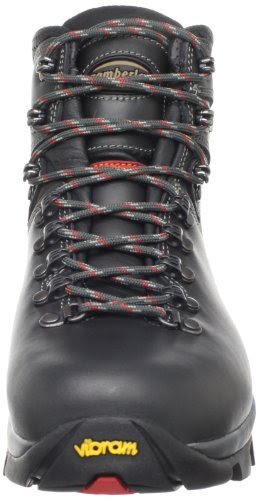 zamberlan men's 996 vioz gore tex walking boot