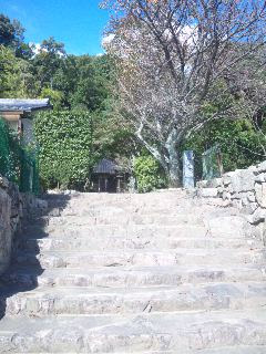 111024_10530411.jpg