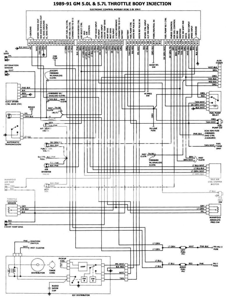 Tbi 1990 Chevy Truck Wiring Diagram from lh5.googleusercontent.com