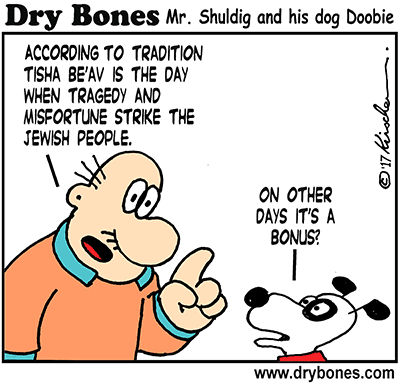 Dry Bones cartoon,Doobie, Shuldig Jews,Jerusalem, Tisha Be'Av, holiday, Temple, Judaism, 