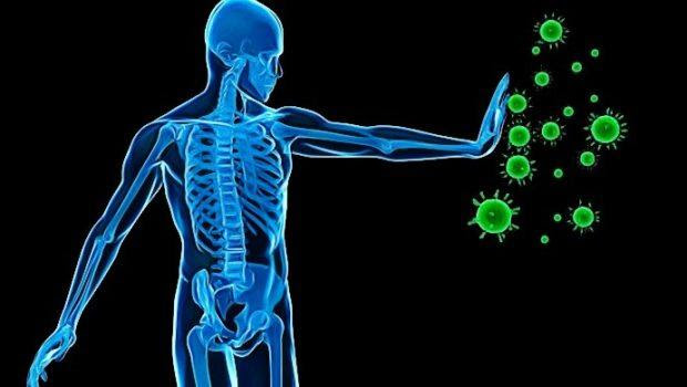 Image result for health