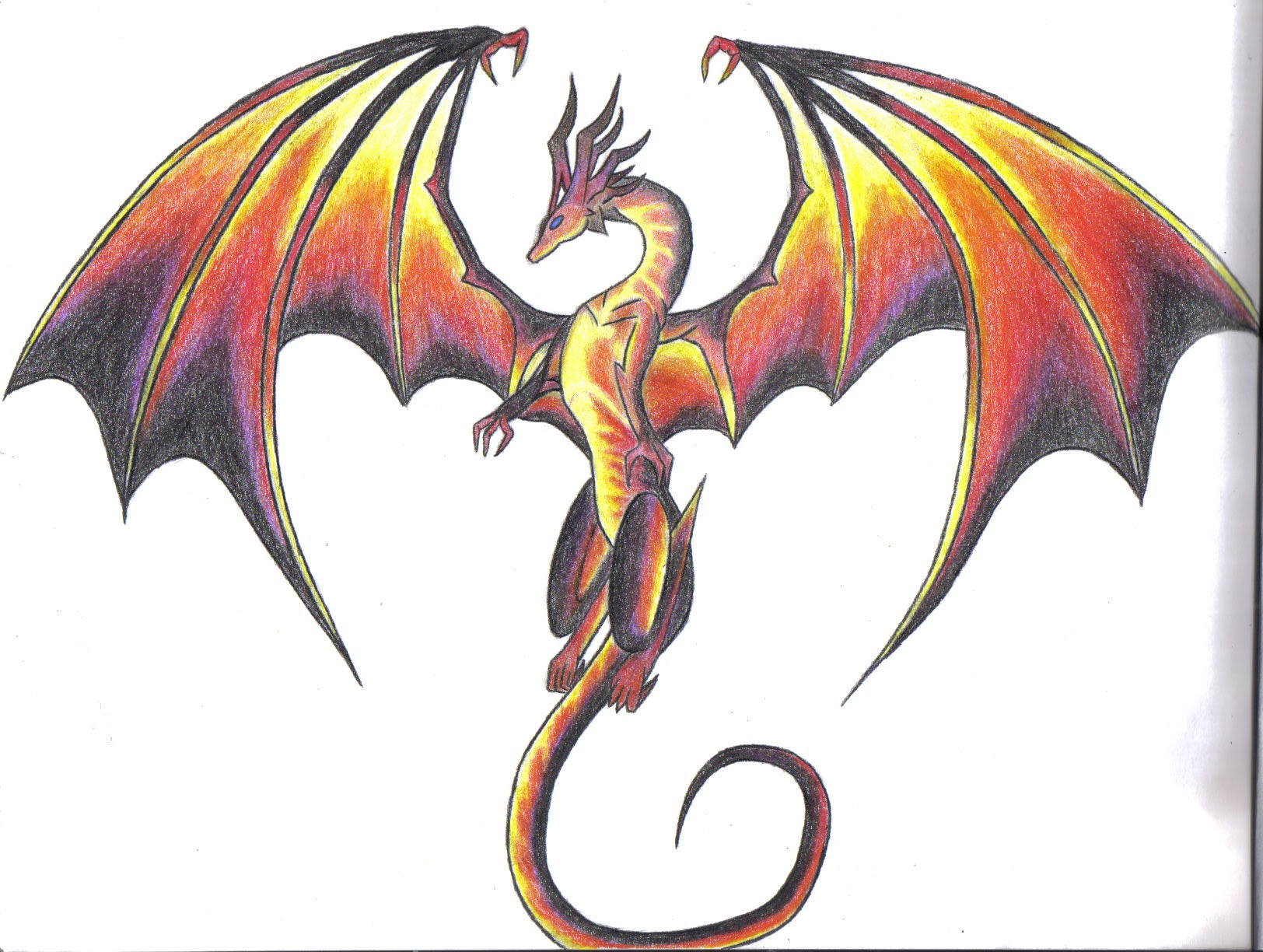 Featured image of post Dragons Drawings Color