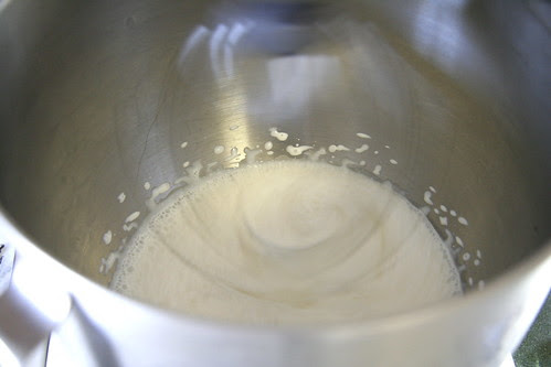 The Makings of Homemade Tiramisu
