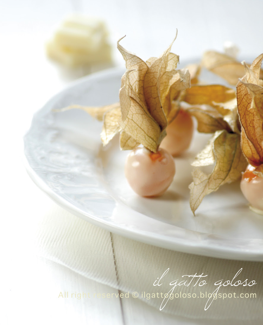 alchechengi al cioccolato bianco