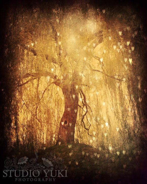 Magical Tree Hearts - Fine Art Photography 8x10 - Dreamy Forest Golden Light - Lone Tree Branches - Tonight, Tonight - StudioYuki