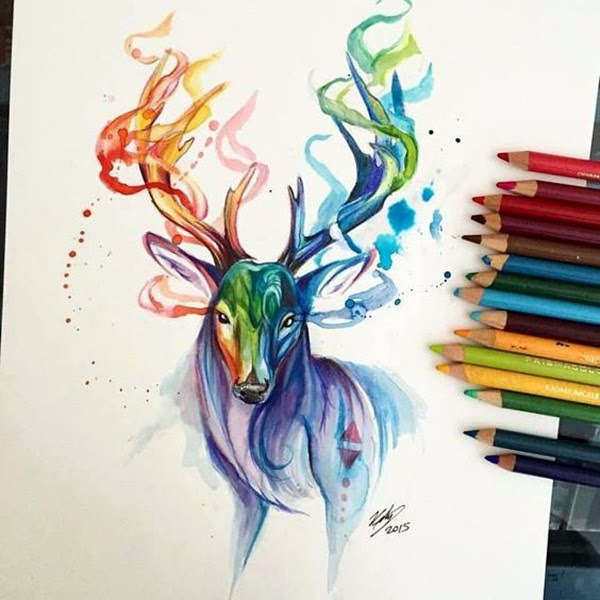 color pencil drawing Examples (2)