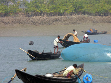 sunderbans sunderbans