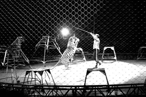 Circus-22