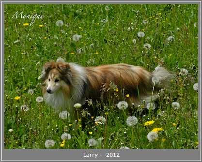 photo Larry_zpsd5559d7f.jpg