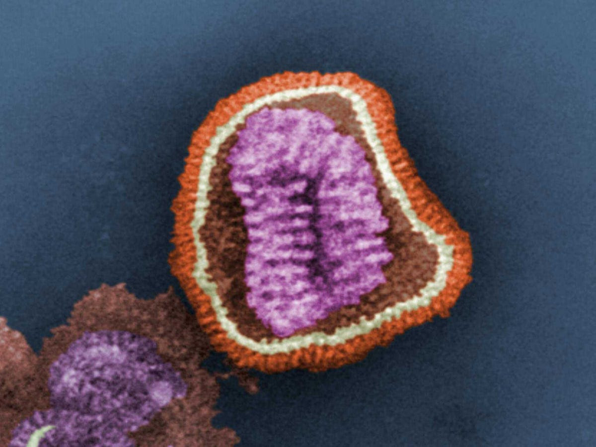 influenza virus particle
