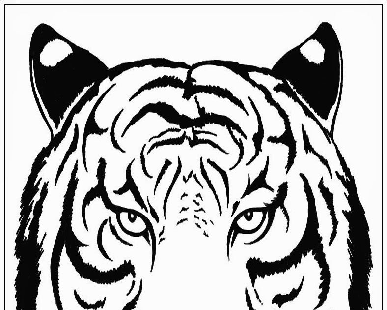 75+ Gambar Sketsa Harimau Terbaru Never Mind