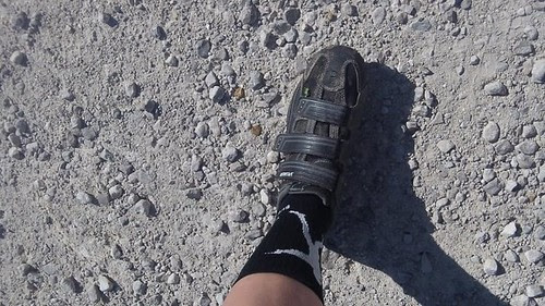 photo.JPG