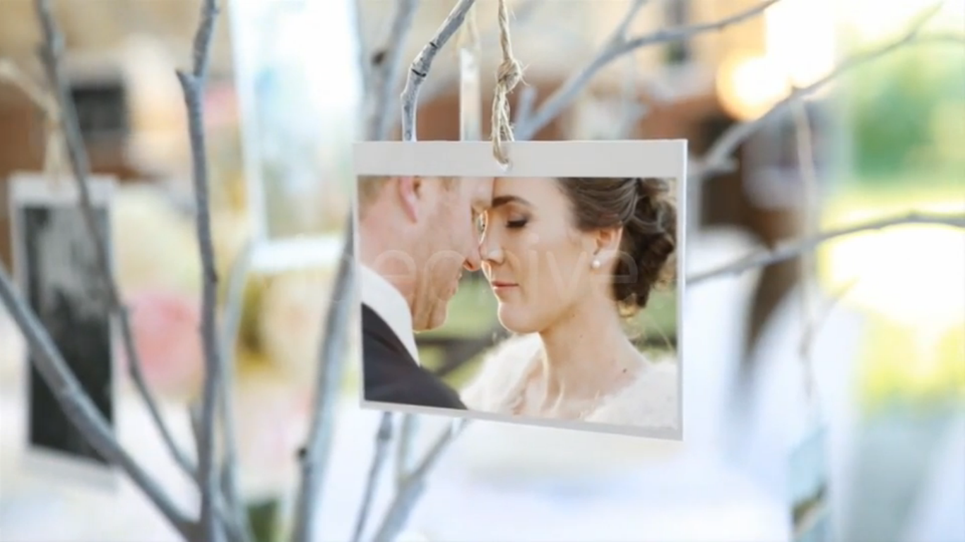 After Effect Template Slideshow Free Download