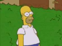 Homer Hedge Meme - img-uber