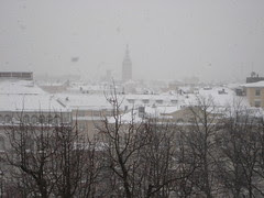 Snow_241108