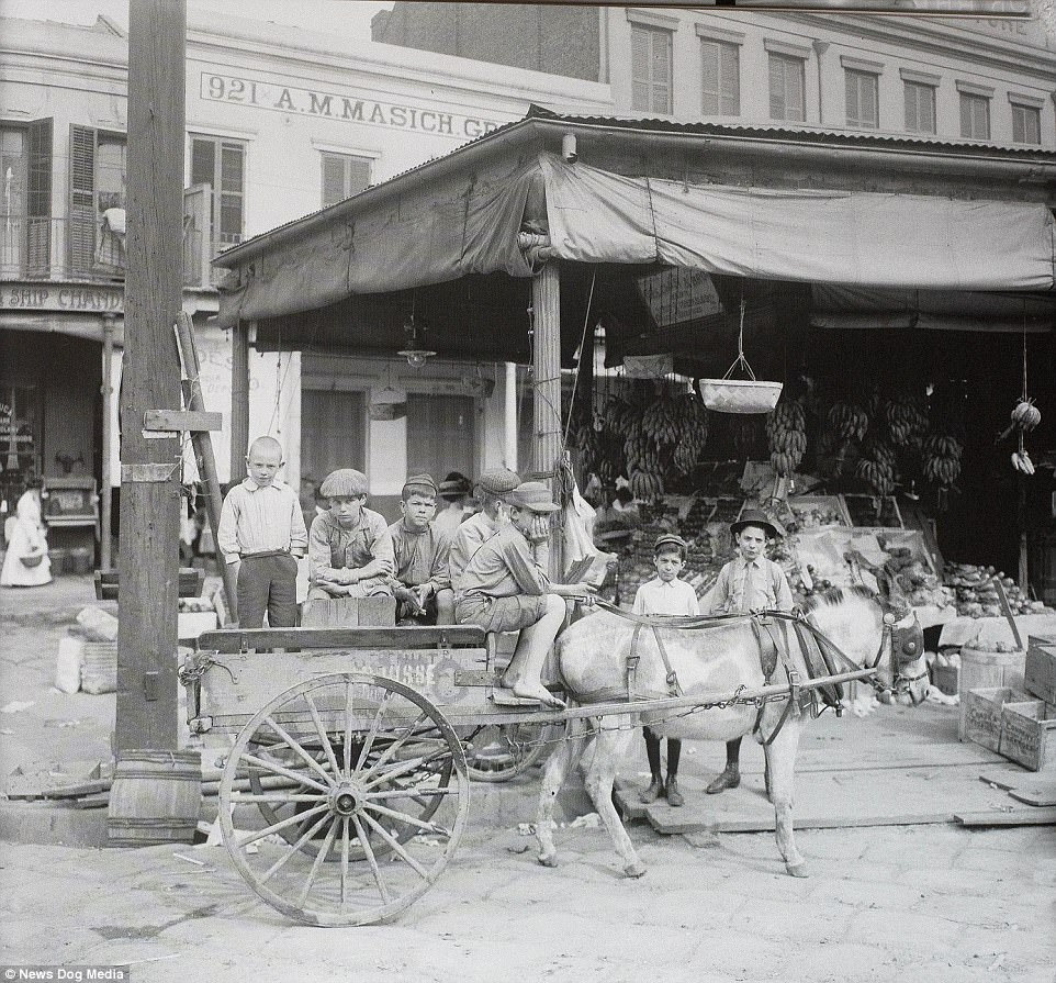 A group of children with donkey and cart in the Lower French markets, New Orleans, circa 1910. Nearly a century before this photograph was taken, in 1812, British forces fought the young nation of the USA in the Battle of New Orleans, where General Andrew Jackson led a ragtag army to a great victory