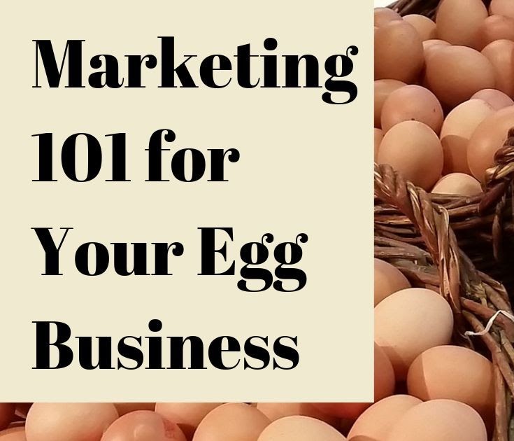 How To Donate Your Eggs For Money - blog.pricespin.net