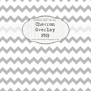 chevron tight med WHITE overlay preview NOT FOR PRINT