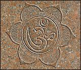 OM_045