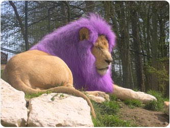 comment changer couleur de cheveux photoshop