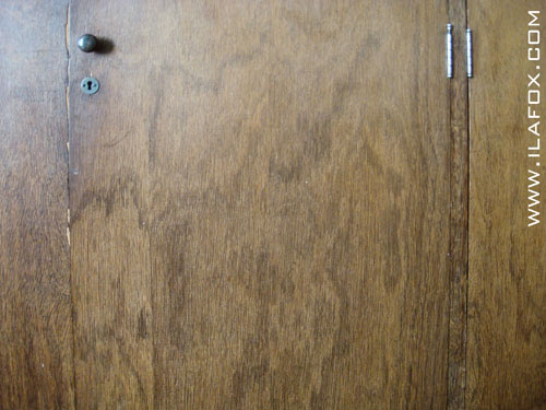 exemplo de pareidolia porta do guarda-roupa by ila fox