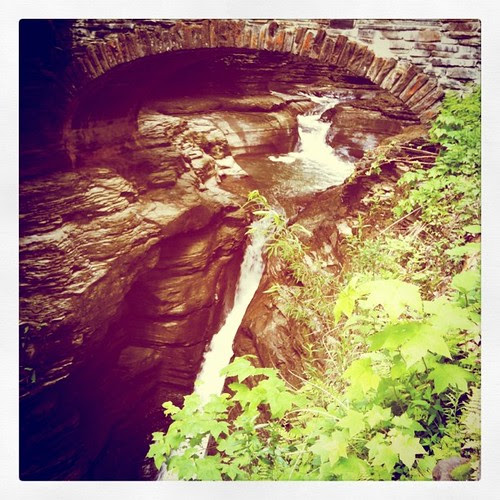 watkins glen