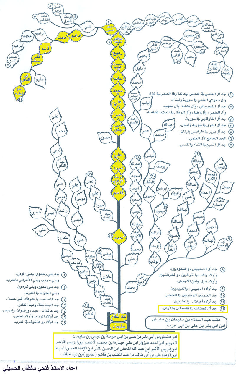 شجرة ال ابو عليمان