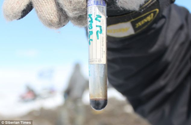 A researcher from the Northeastern Federal University in Siberia holds a test tube with what scientists are calling 'a sample of well-preserved blood' found in a carcass of a female woolly mammoth. 