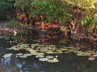 Free Image Hosting at www.ImageShack.us