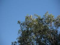 Free Image Hosting at www.ImageShack.us