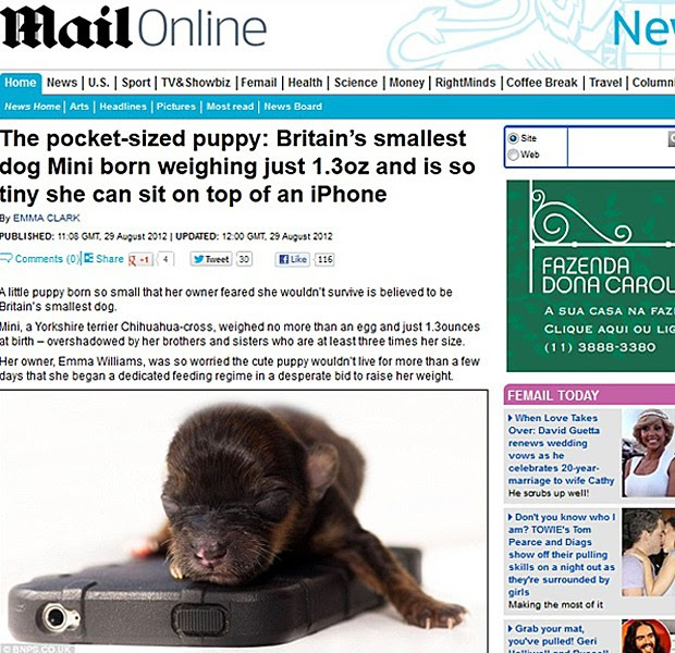 Cachorro iphone (Foto: Daily Mail/Reprodução)