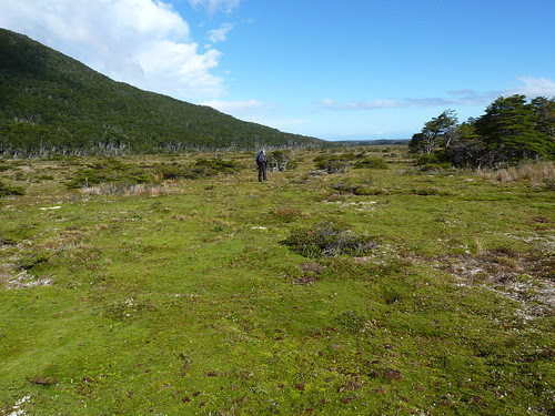 P1100394