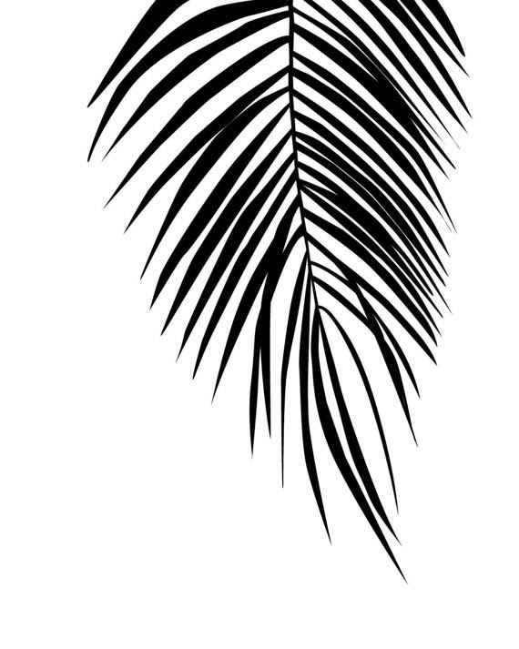 Printable Palm Leaf Black And White - Black And White Palm Leaves Print