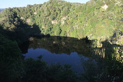 NZ 170