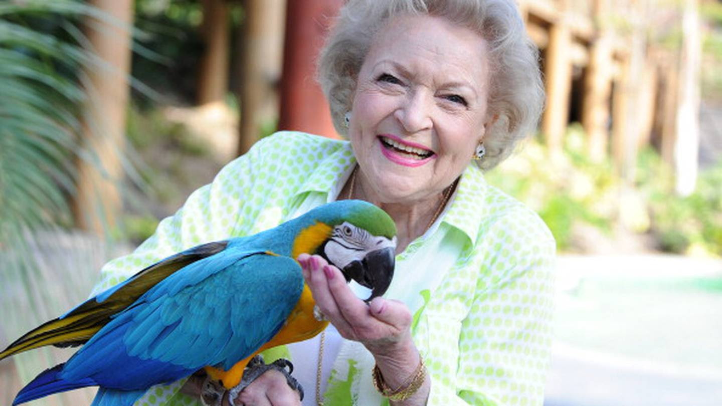 Local human society honors Betty White, her love of animals with social media campaign